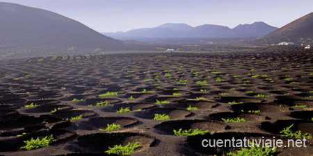 Paisaje Protegido de La Geria. Lanzarote.